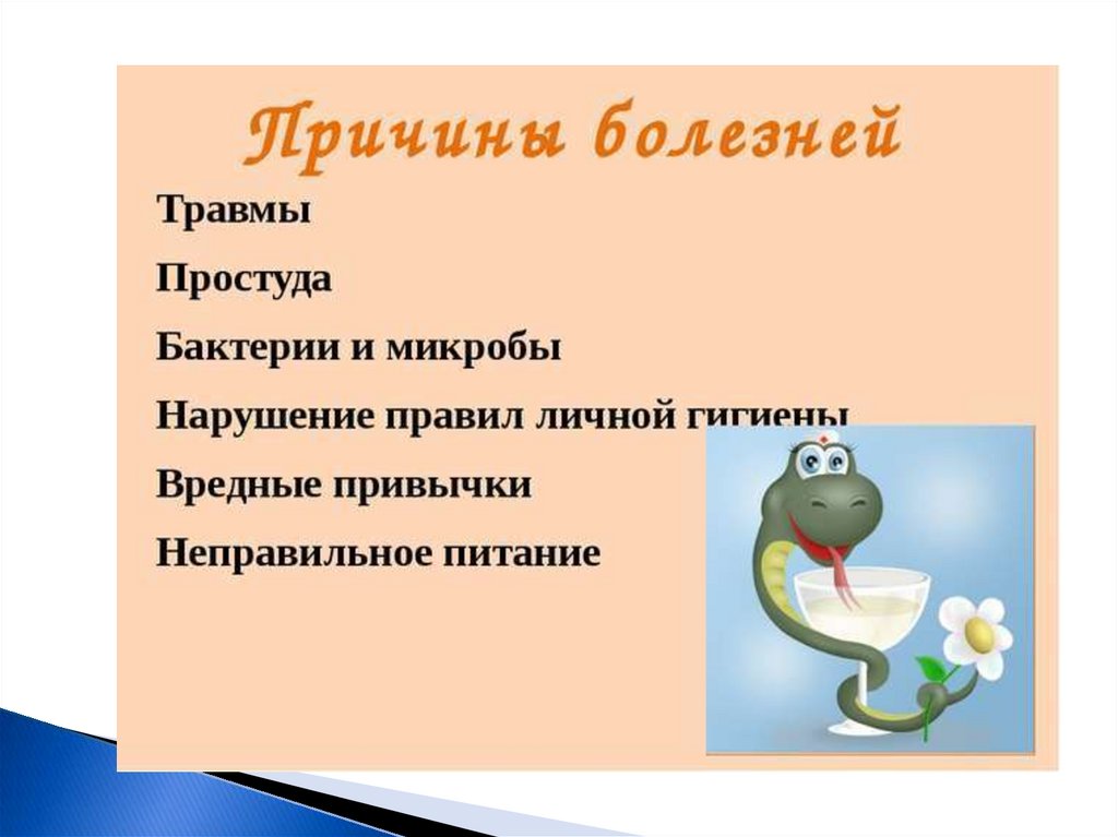 Правила общения с животными здоровыми и заболевшими презентация