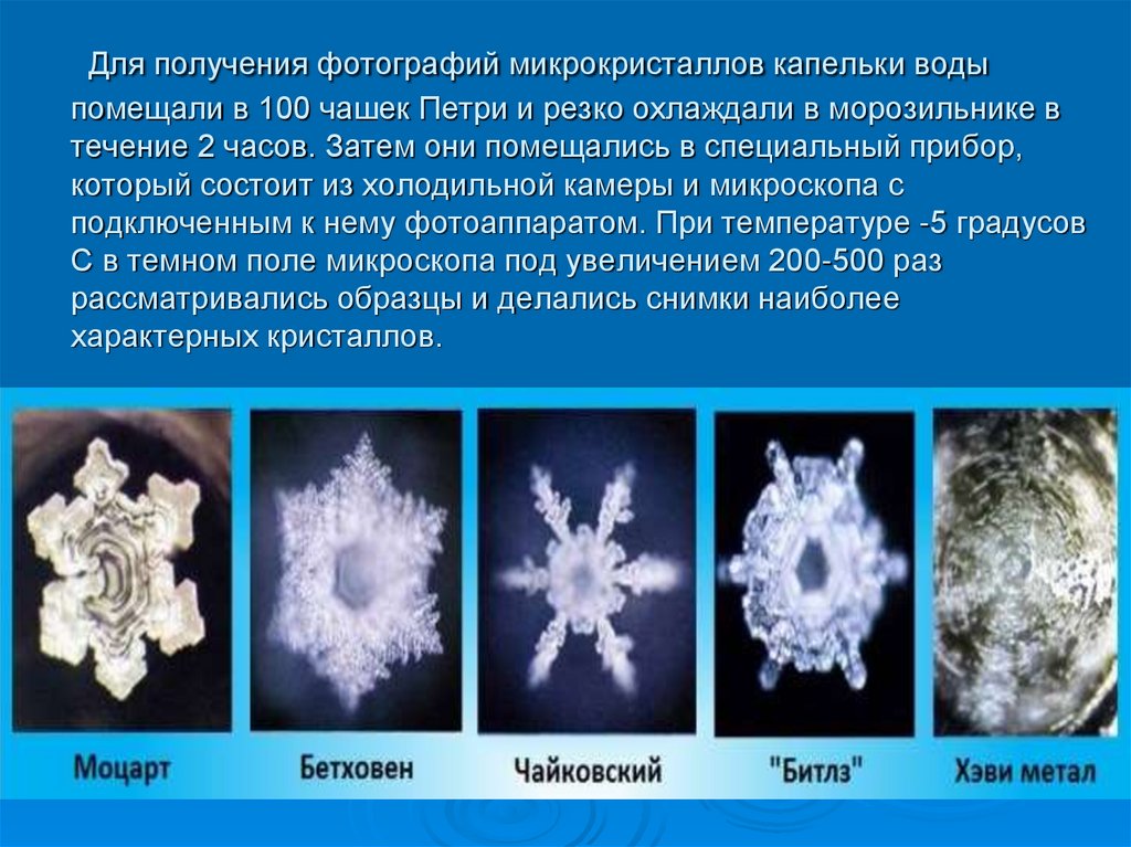  Для получения фотографий микрокристаллов капельки воды помещали в 100 чашек Петри и резко охлаждали в морозильнике в течение 2