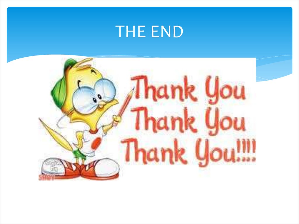 THE END