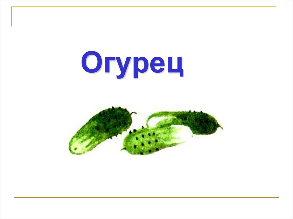 Слово огурцов. Слово огурец. Словарное слово огурец. Картинка к слову огурец. Словарное слово огурец в картинках.