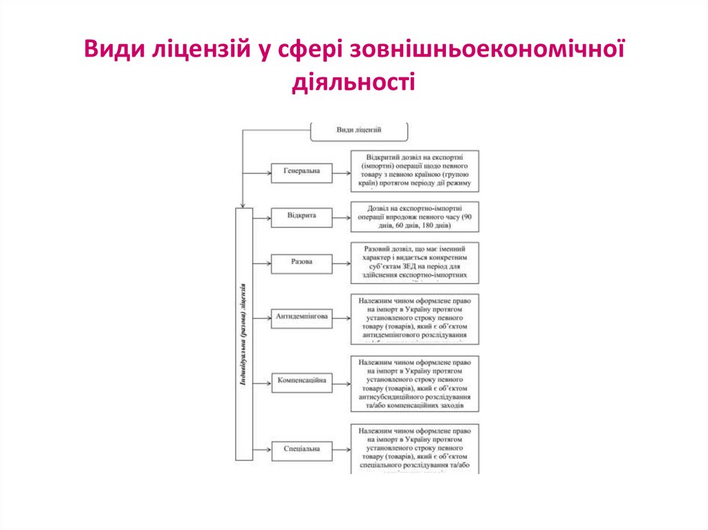 Види ліцензій у сфері зовнішньоекономічної діяльності