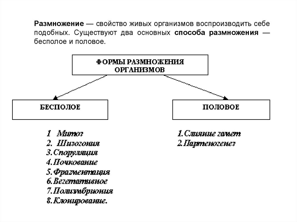 Размножение как универсальное свойство живого. Размножение как свойство живых организмов. Размножение как свойство живых организмов. Свойства живого размножение. Воспроизведение организмами себе подобных размножение это.