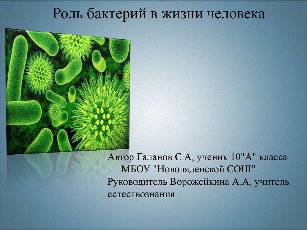 Роль бактерий в жизни человека. В чем заключается планетарная роль бактерий. Положительная роль бактерии псевдотуберкулёз.