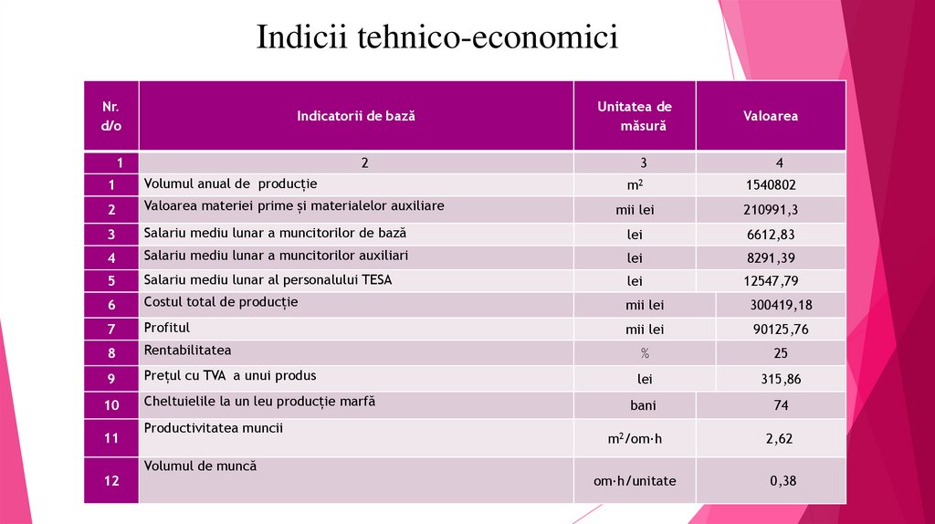 Indicii tehnico-economici