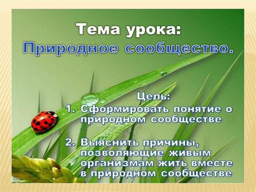 Человек как уникальный вид живой природы презентация 10 класс пономарева