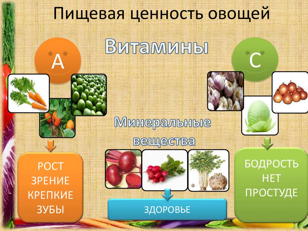 Питательные вещества овощей. Ценность овощей. Пищевая ценностььовощей. Питательные вещества в овощах. Пищевая ценность плодовых овощей.