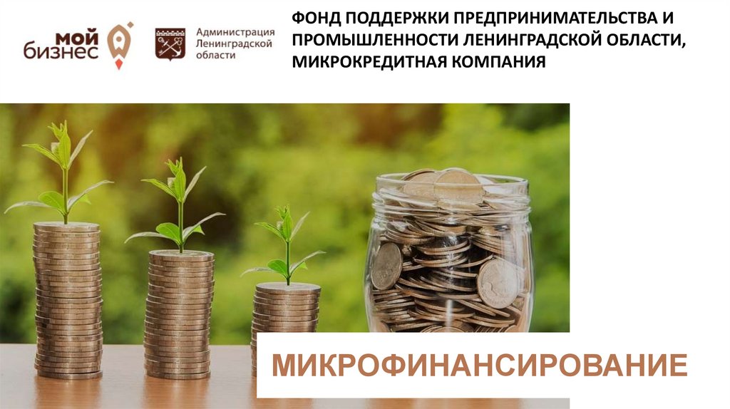 Микрофинансирование центр займов