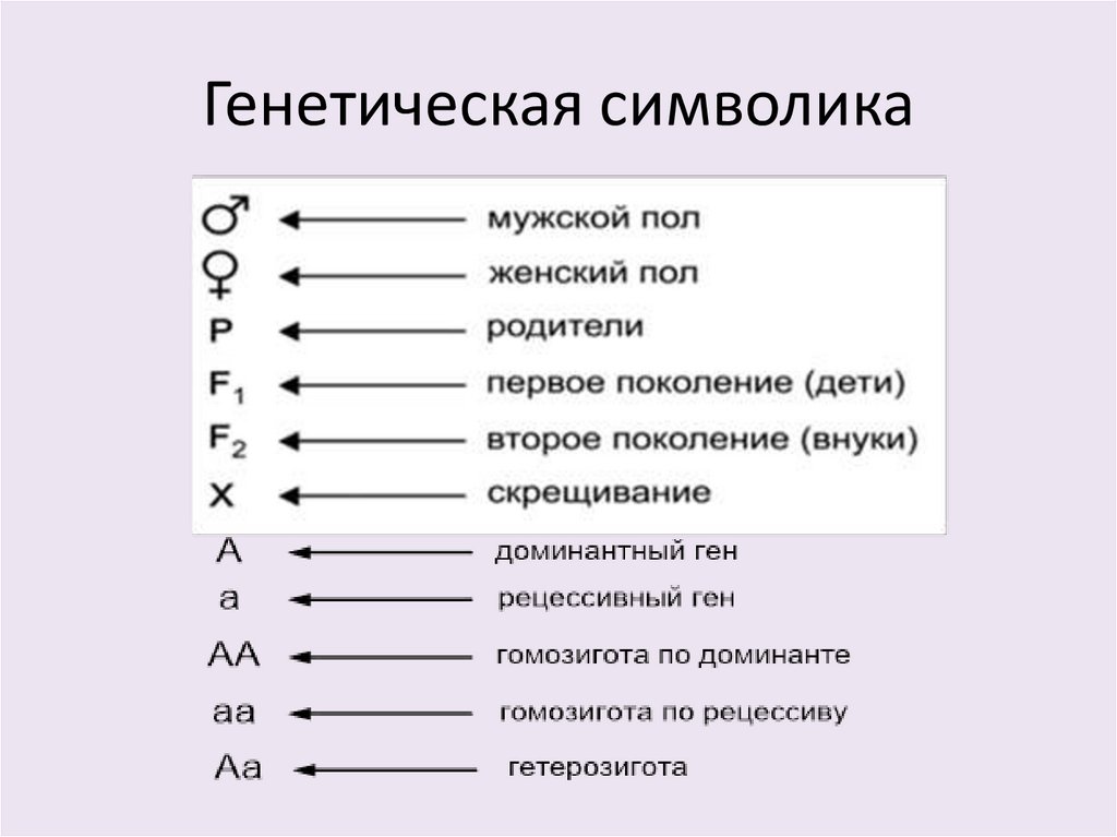 Генетические символы. Генетическая символика. Генетическая символика таблица. Все генетические символы. Генетический символ мужского пола.