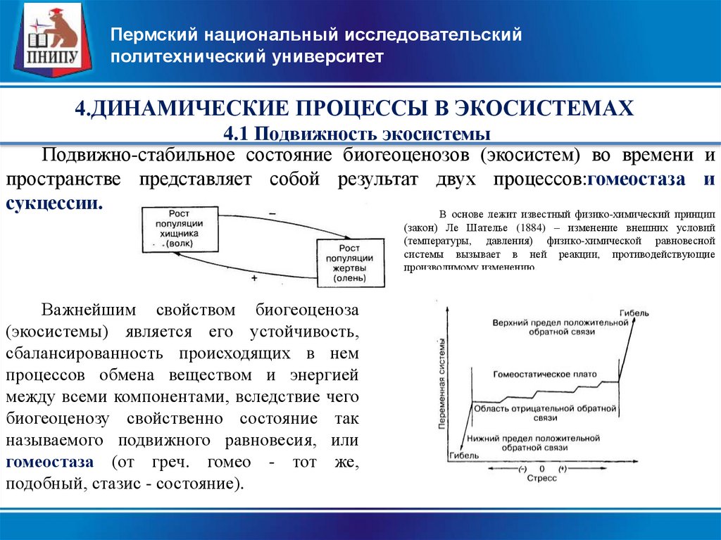 Модели динамических процессов