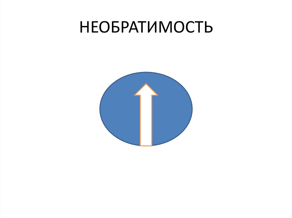 НЕОБРАТИМОСТЬ