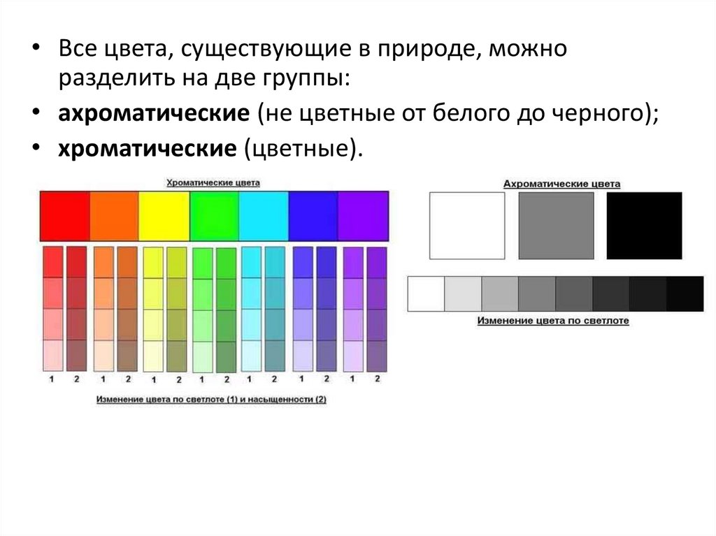 Детей делят на цвета