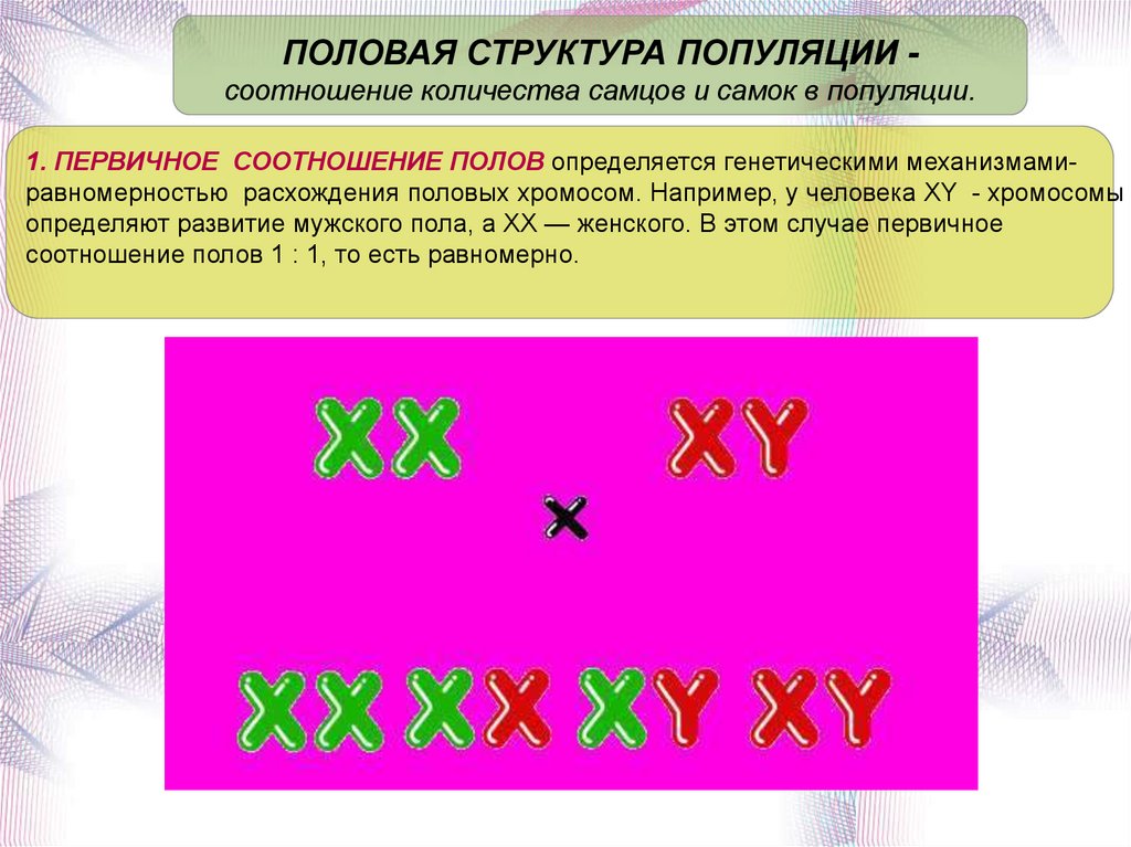 Половая структура. Половая структура популяции. Половая структура популяции Волков.