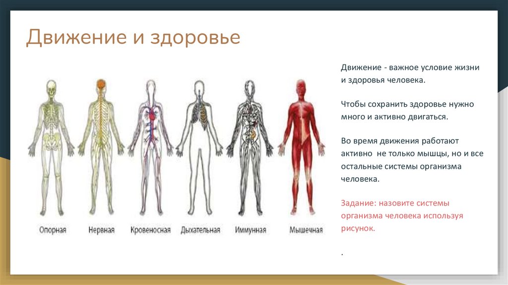 Движение и здоровье