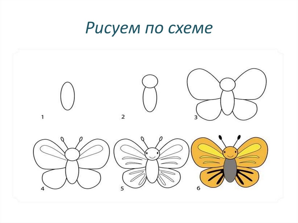 Рисуем насекомые старшая группа