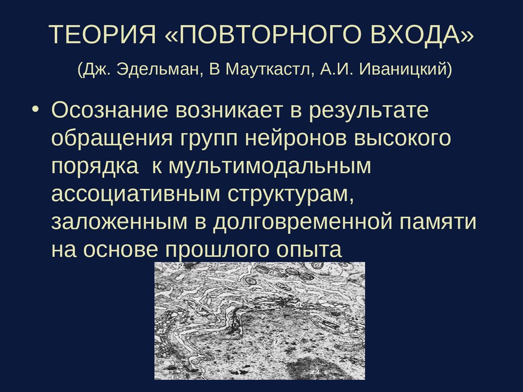 ТЕОРИЯ «ПОВТОРНОГО ВХОДА» (Дж. Эдельман, В Мауткастл, А.И. Иваницкий)