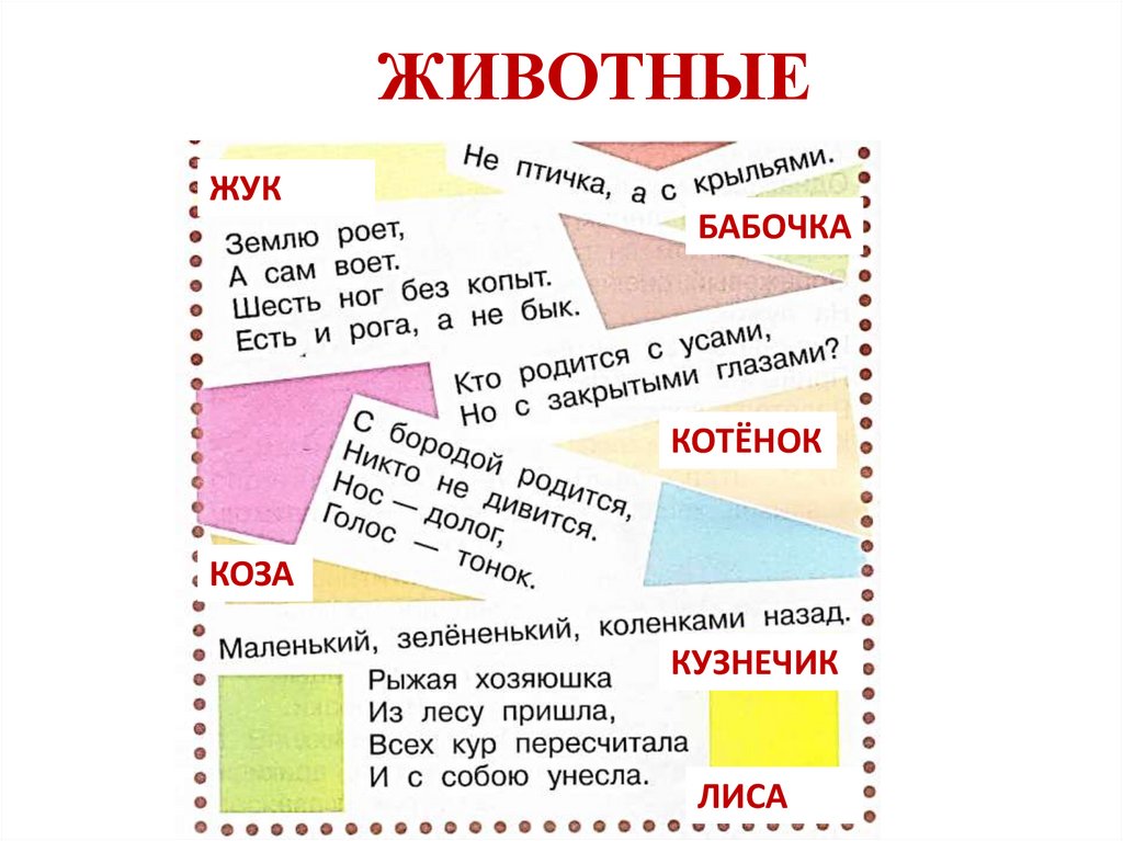 Отгадайте загадки