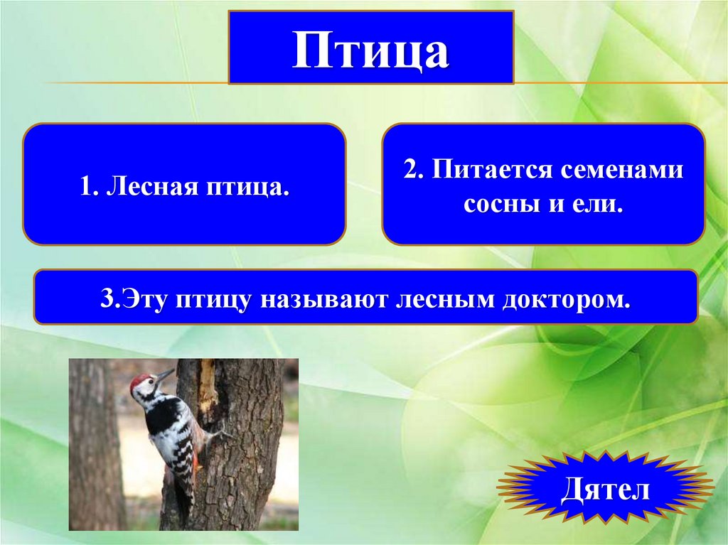Тайны живой природы - online presentation