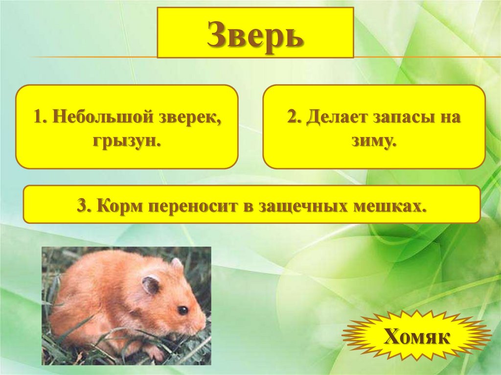 Тайны живой природы - презентация онлайн