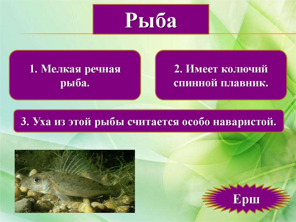 Тайны живой природы - online presentation