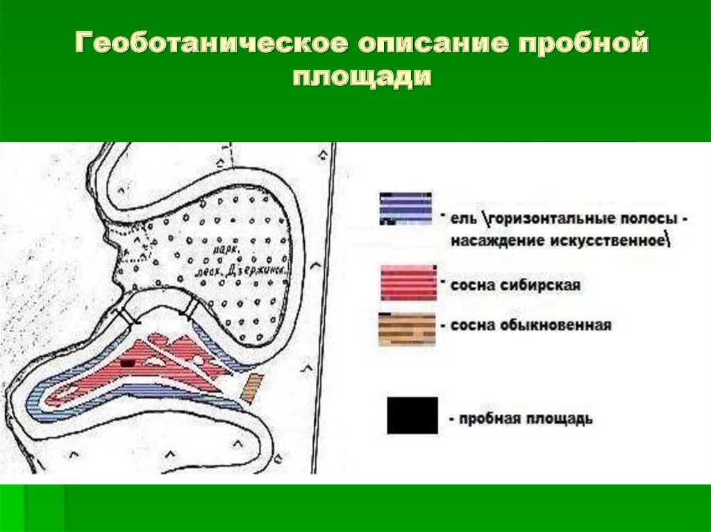 Геоботаническое описание.