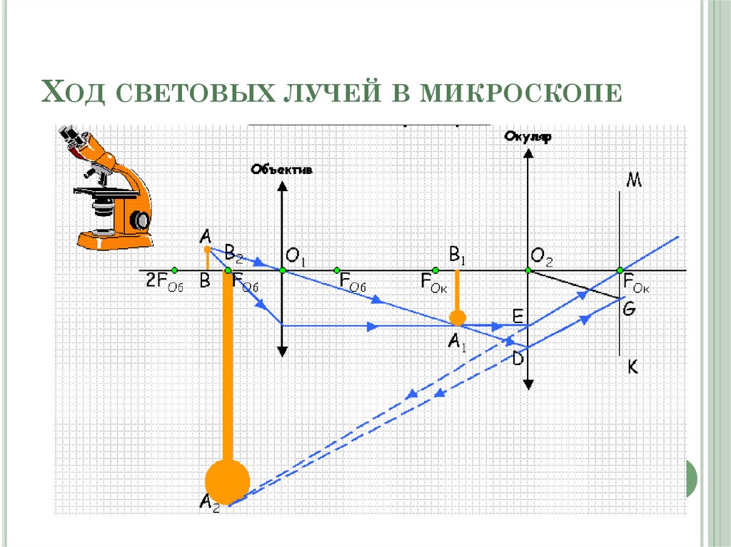 Ход световых лучей в глазу