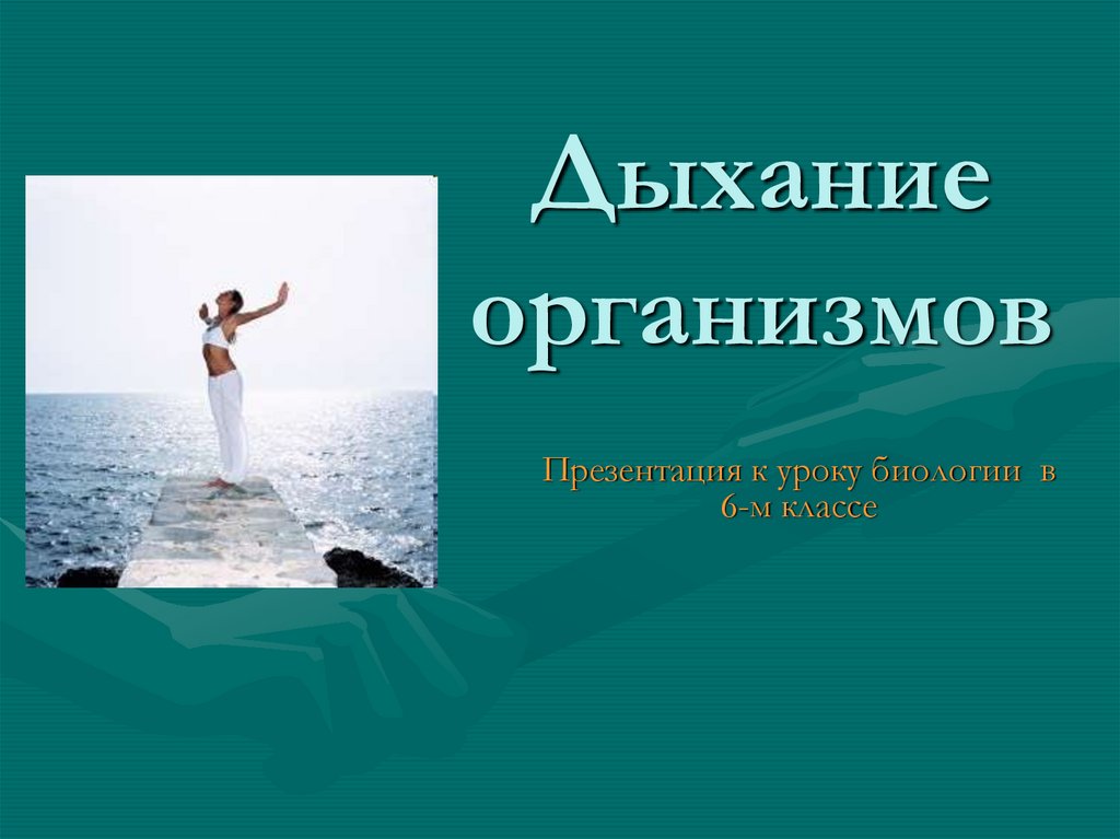 Дыхание организмов. Дыхание организмов 6 класс. Дыхание организмов презентация 6 класс. Дыхание тела.