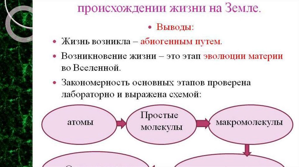 Презентация современные представления о возникновении жизни на земле 9 класс пономарева