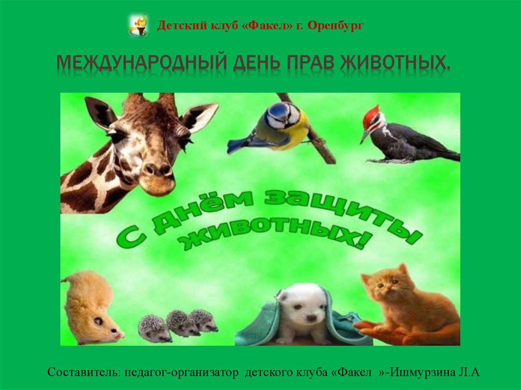 Мероприятие к всемирному дню животных. Мероприятие к всемирному дню животных