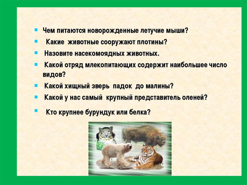 Животные как правило ответ. Текст о законах животных. Международный день прав животных 10 декабря презентация.