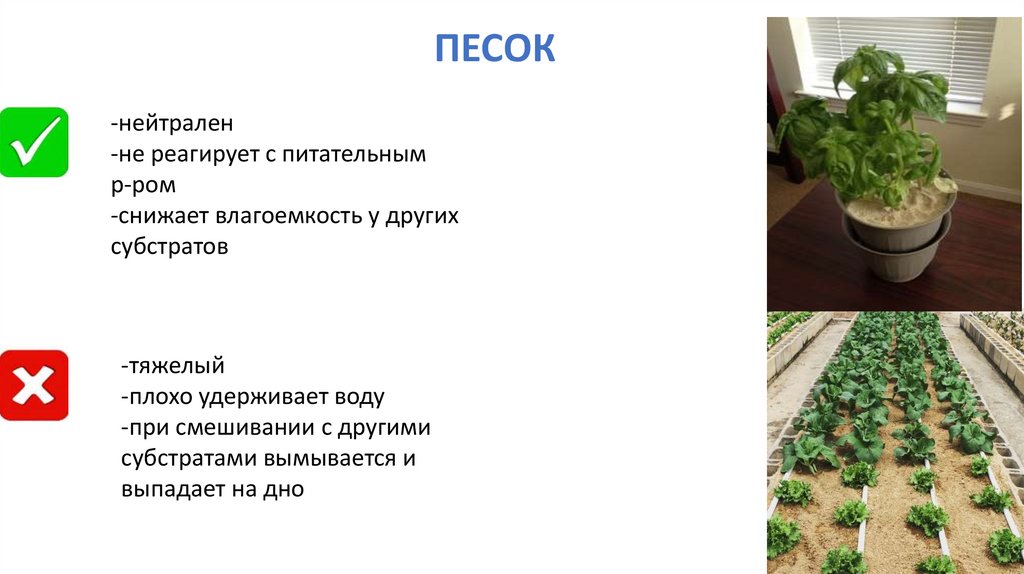 Субстраты для гидропоники - презентация онлайн