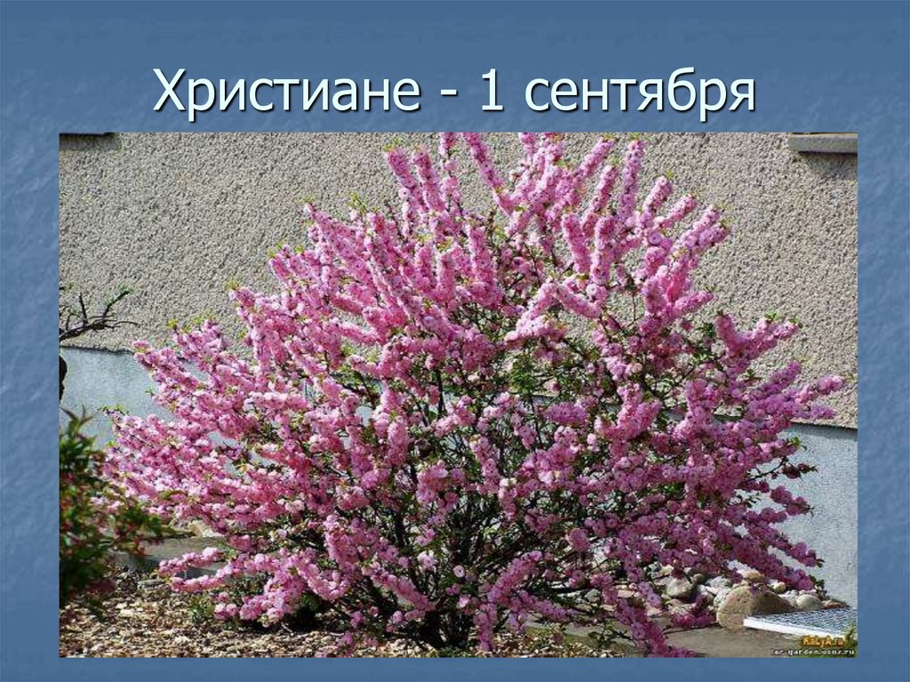 Христиане - 1 сентября