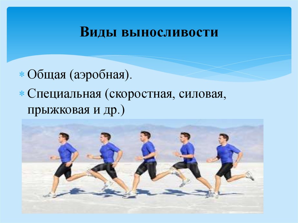 Виды выносливости. Виды общей выносливости:. Виды силовой выносливости. Скоростная силовая и общая выносливость.