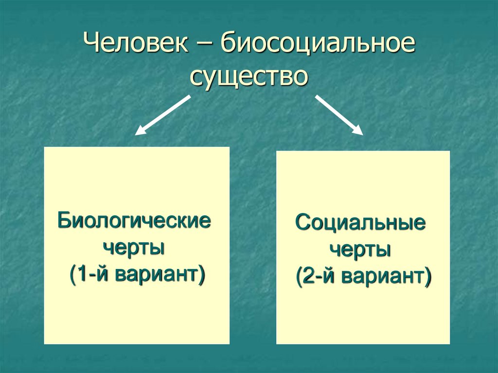 Биосоциальная сущность человека план егэ обществознание