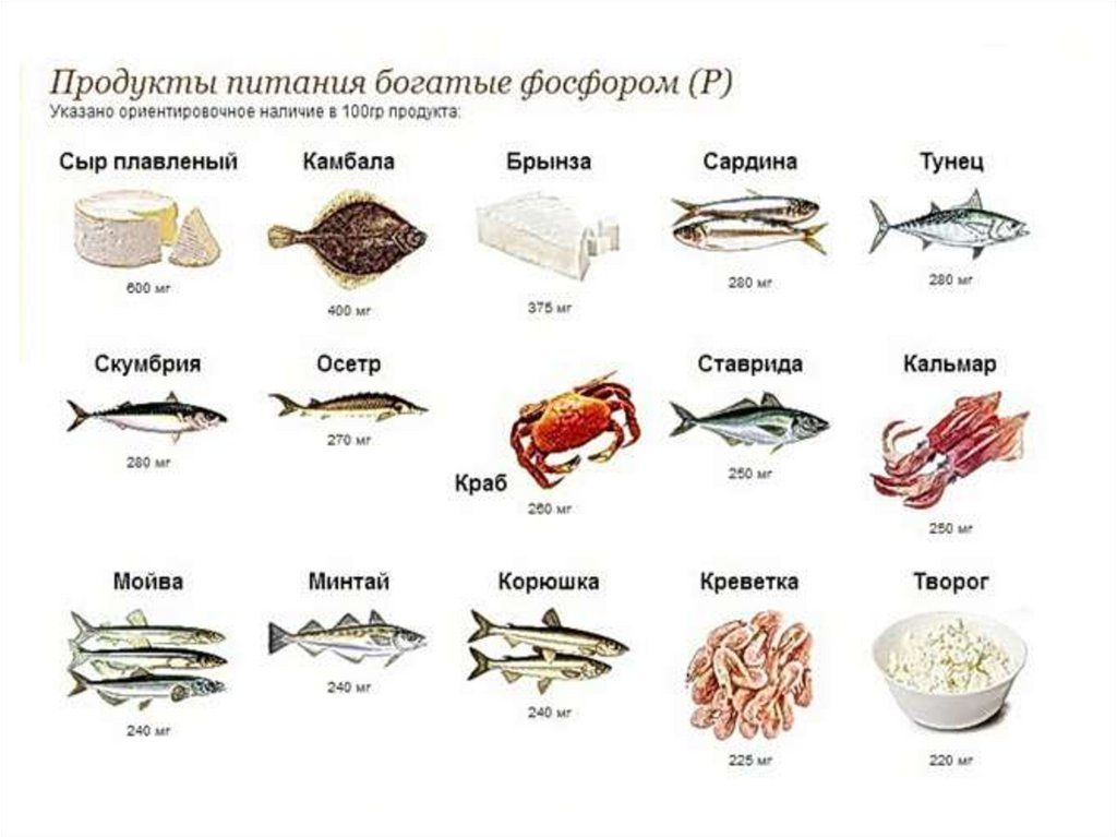 Кальций в какой рыбе. Продукты с высоким содержанием фосфора. Какие продукты богаты фосфором. Еда богатая кальцием и фосфором. Источники фосфора в продуктах питания.
