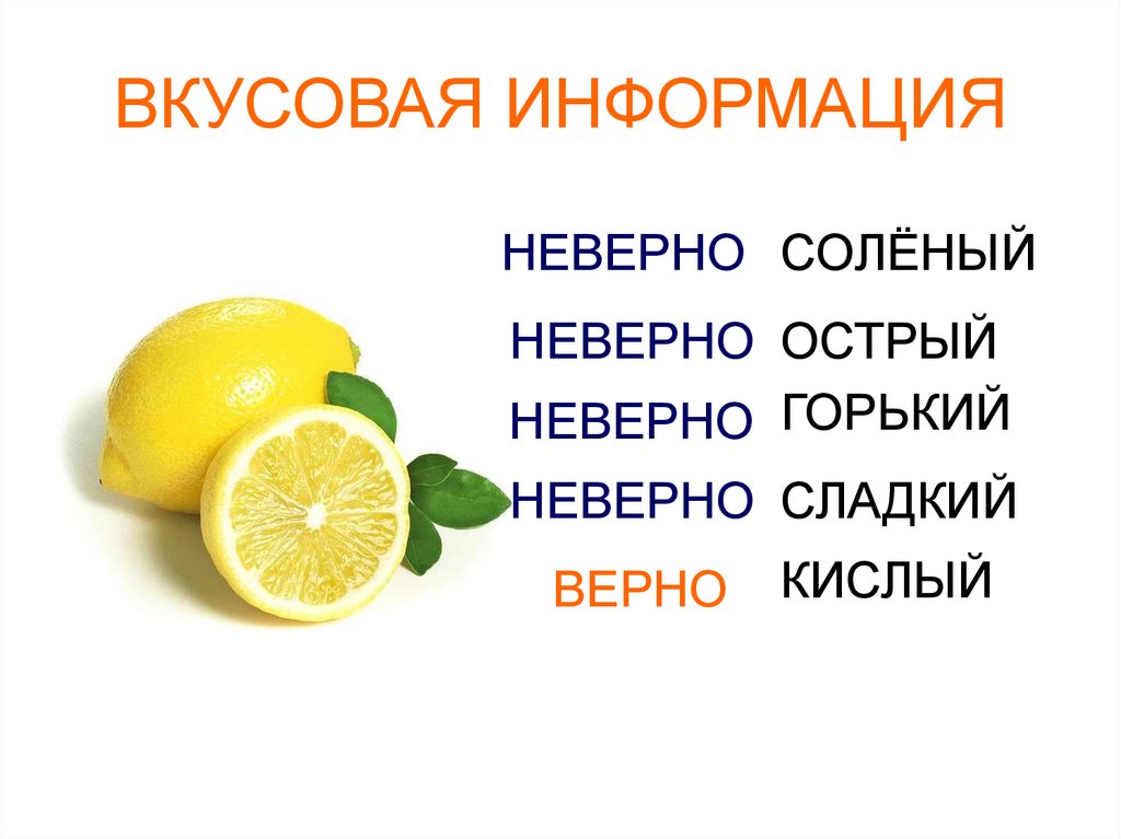 Вкусовая информация. Вкусовая информация что это такое сообщение. Источник вкусовой информации. Вкусовая информация примеры.