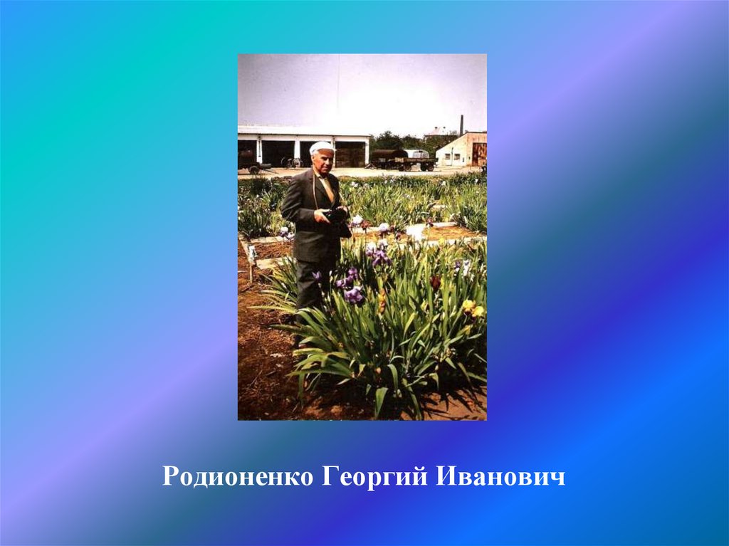 Родионенко Георгий Иванович