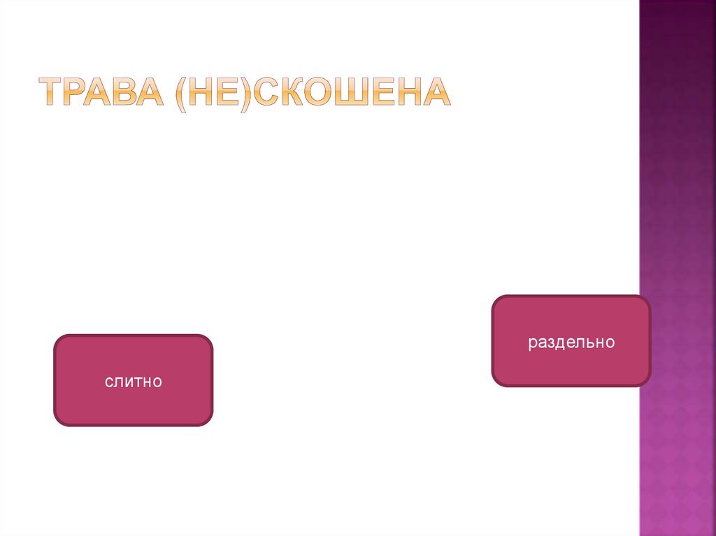 Не кошенная как пишется. Трава не скошена слитно или раздельно. Не кошена трава слитно или раздельно. Нескошенная трава слитно или раздельно. Некошенная трава слитно или раздельно.