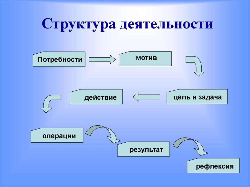 Структура деятельности