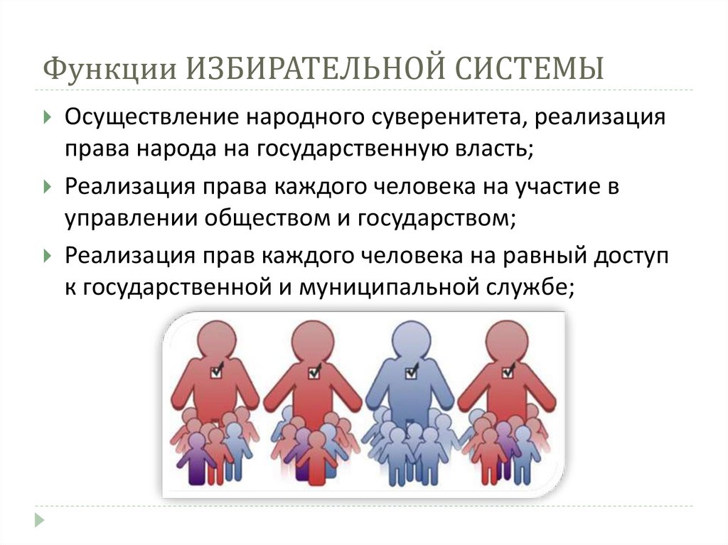 Функции ИЗБИРАТЕЛЬНОЙ СИСТЕМЫ