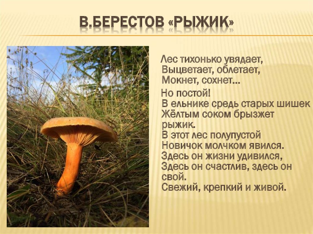 В.Берестов «Рыжик»