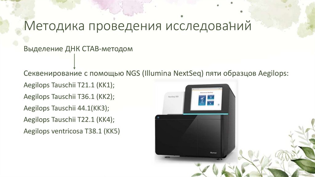 Методика проведения исследований