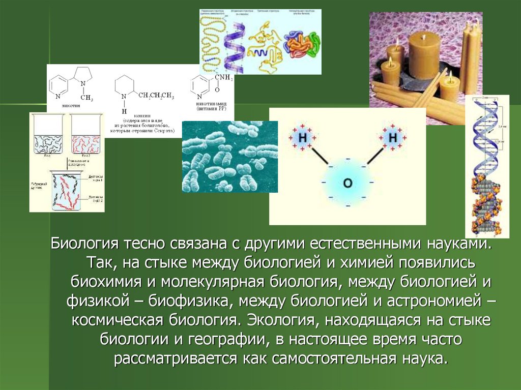 Химические соединения биология