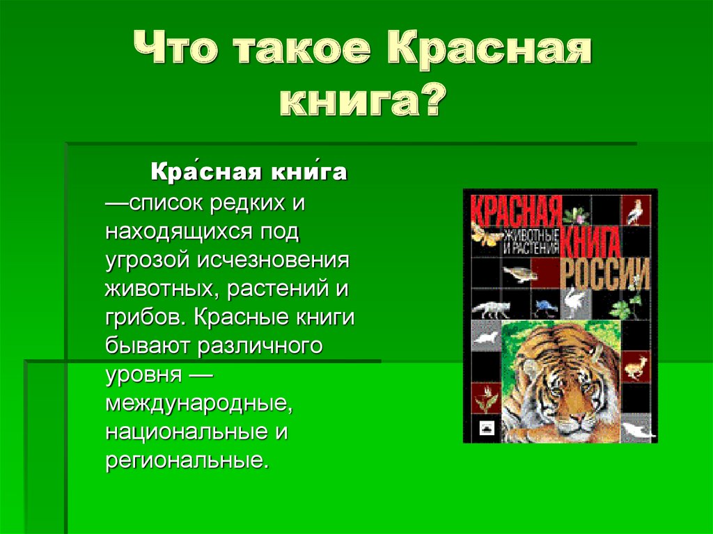 Что такое красная книга для детей. Красная книга. день радио список редких животных. красный.