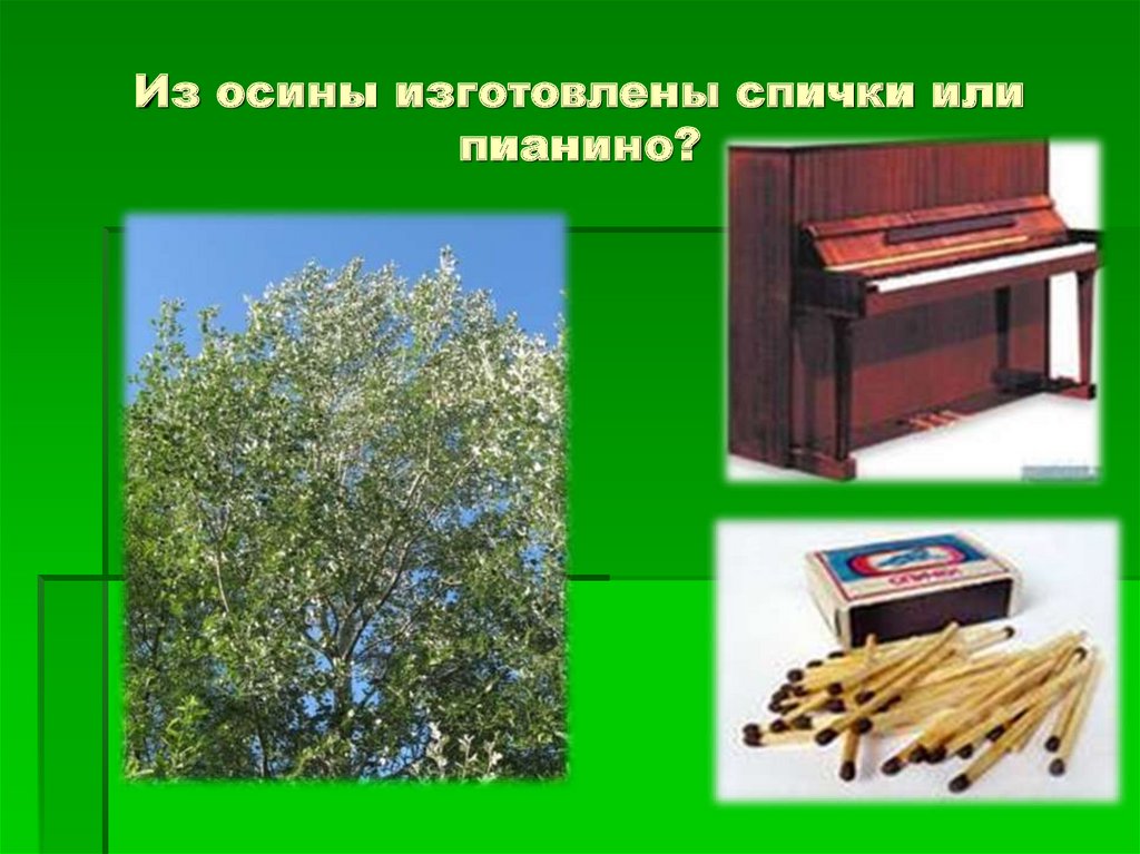 Из осины изготовлены спички или пианино?