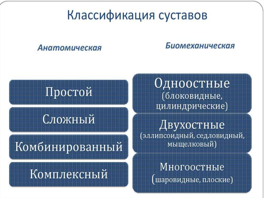 Сложно комплексный. Классификация суставов анатомия. Анатомическая классификация суставов. Классификация суставлв Анат. Суставы их строение классификация.