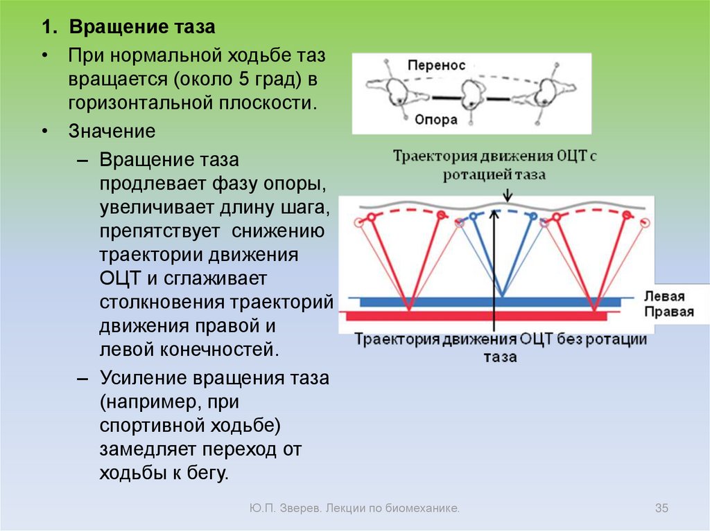 Циклический период