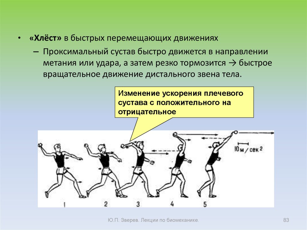 Быстрые движения. Вращательные движения в спорте. Положения и движения звеньев тела. Типы вращательных движений в спорте. Движения звеньев тела в беге.