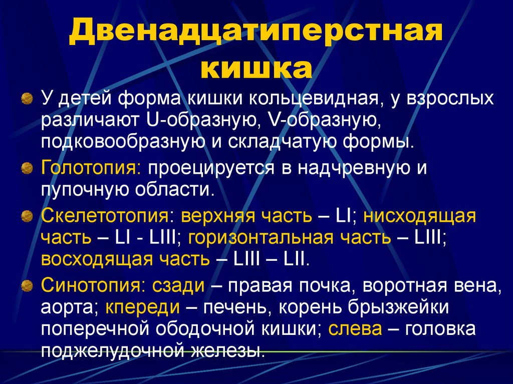 Голотопия. Двенадцатиперстная кишка синтопия. Синтопия 12 перстной кишки. Голотопия поджелудочной железы. Двенадцатиперстная кишка голотопия.