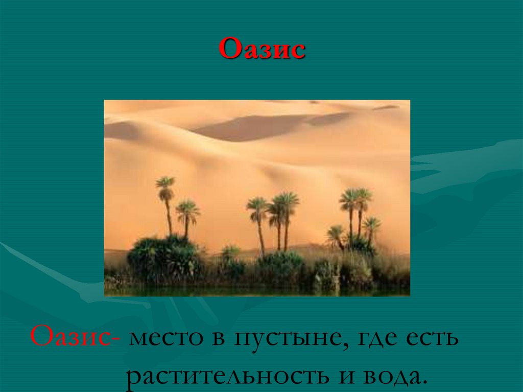 Где есть пустыни. Место в пустыне где есть растительность и вода. Как называется в пустыне место где есть вода и растительность. Место в пустыне где есть вода и пышная растительность. Три пальмы таблица мир пустыни и Оазис.