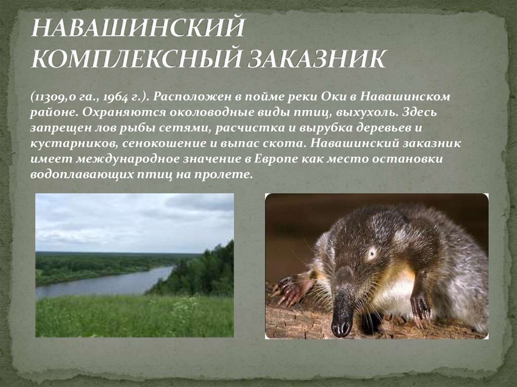 НАВАШИНСКИЙ КОМПЛЕКСНЫЙ ЗАКАЗНИК